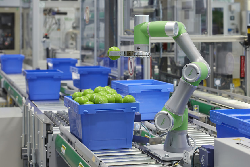 Ganz hohe Kunst: Verpackungsmaschinen wettbewerbsfähig automatisieren